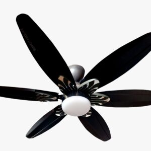BLDC Ceiling Fan